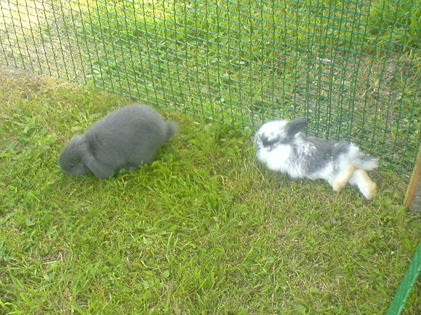 DSC00461.JPG