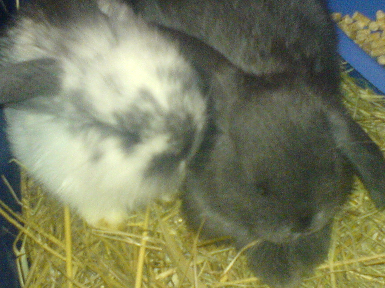 DSC00418.JPG