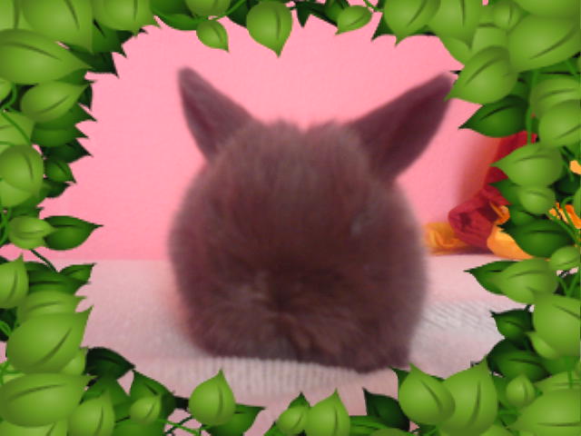 DSC01315.JPG