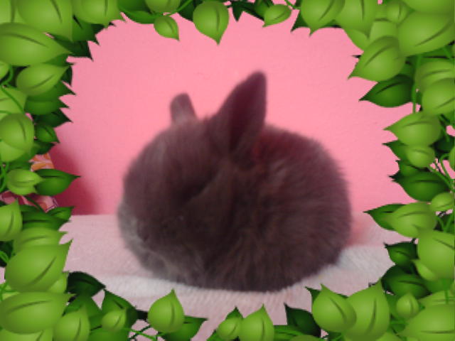 DSC01316.JPG