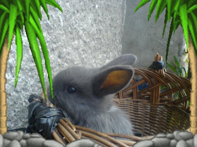 DSC01385.JPG
